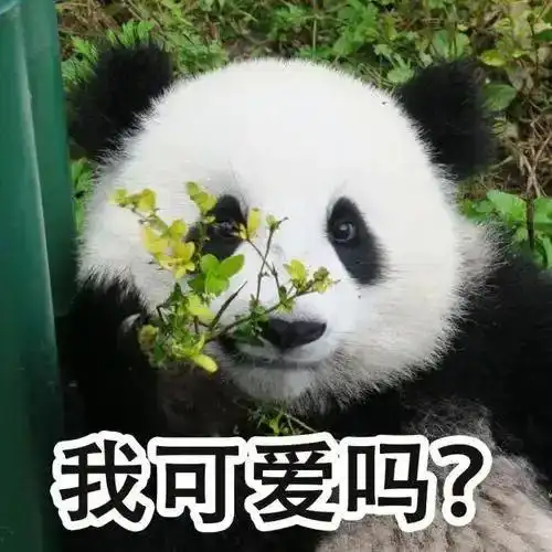 快看啊,哄宝宝的秘密武器来啦
