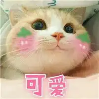 微信猫咪表情包带字带激萌可爱喵星人表情包带字
