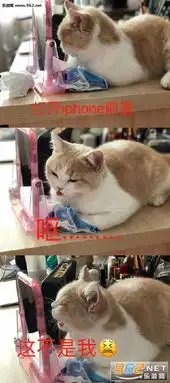 人心都疯球了哇表情包给你演示个闭嘴表情包图片下载乐游网游戏下载
