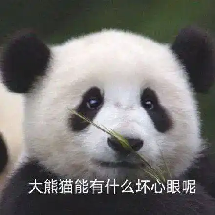 惊被骂下三滥,身份证被公布厦门一小区业委会成员起争执
