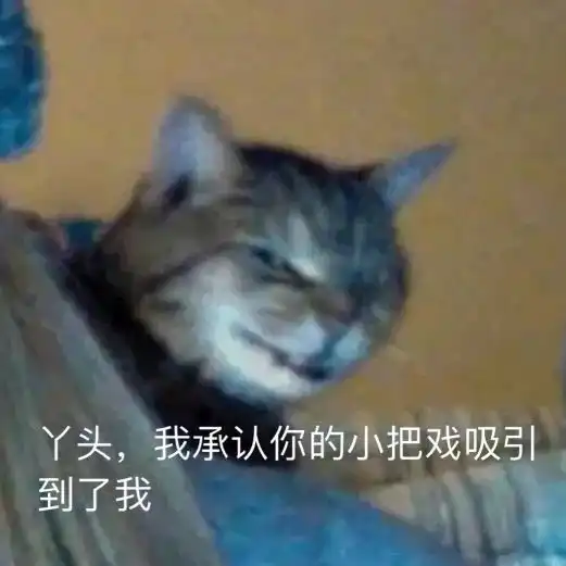 沙雕表情包永远不够用
