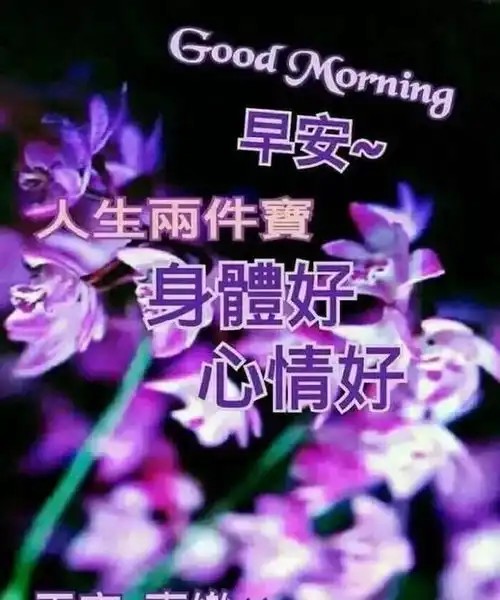 适合发朋友圈好心情的早安心语,精辟幽默的正能量短句
