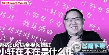 pdd小轩在不在鬼畜表情包
