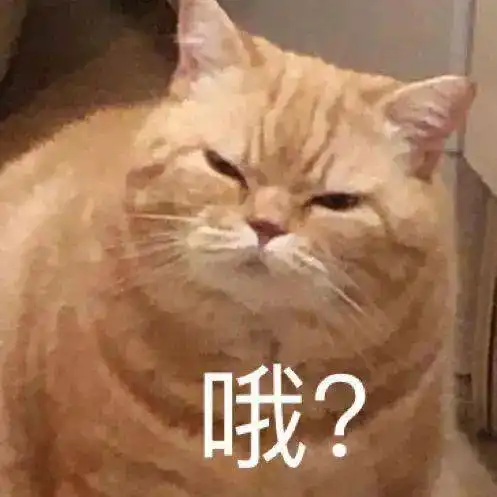 草,爱了
