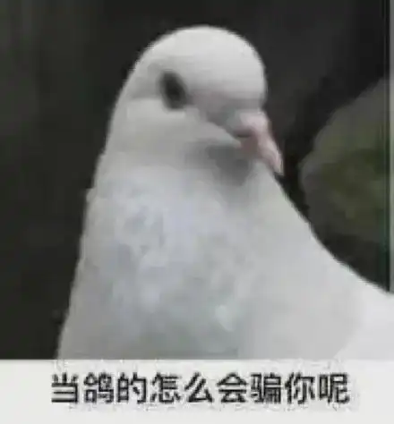 如果王漫妮是寿县姑娘
