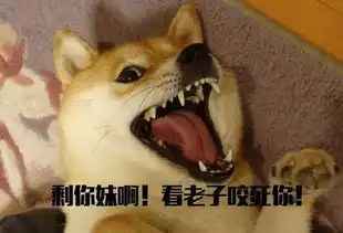 年末了又到了重庆人迫不及待卖女儿的时候
