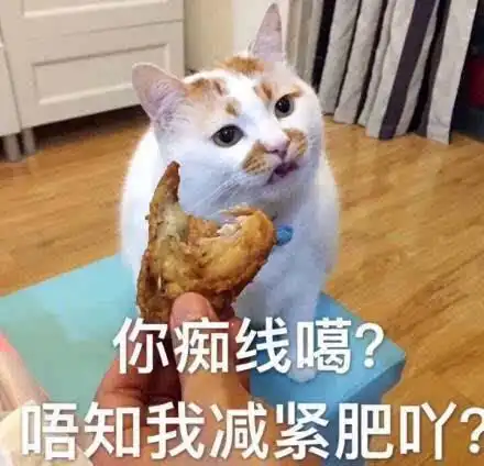 猫咪24小时可忙碌了除了睡觉,竟然都在干这些事情
