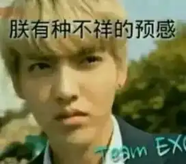 exo表情包吴亦凡朕有种不祥的预感堆糖,美好生活研究所
