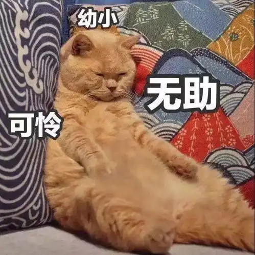 沙雕表情包醒来吧,我的子民们
