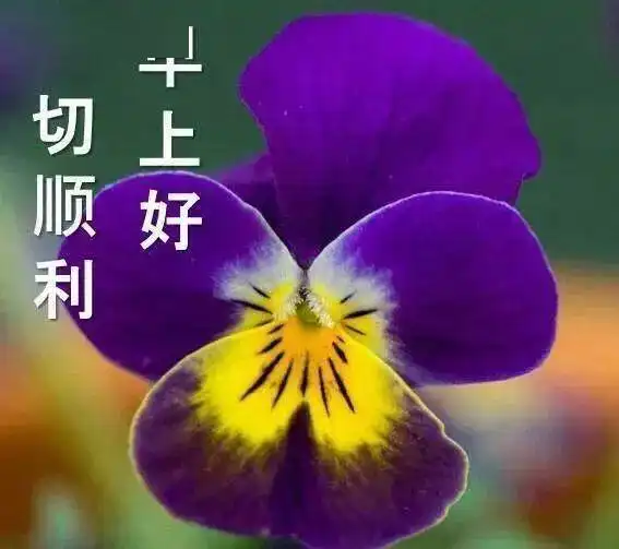 5月14日最漂亮早上好动态表情图片大全,早晨好动图美图大全
