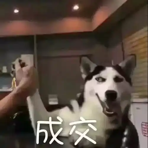 iam有机联盟得了这种很丧的都市病,你爸还有救
