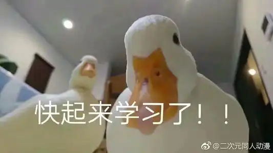 万字长文爆肝python基础入门
