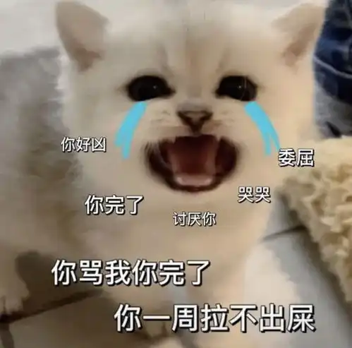 你打排位把把输丨讨厌鬼小猫咪表情
