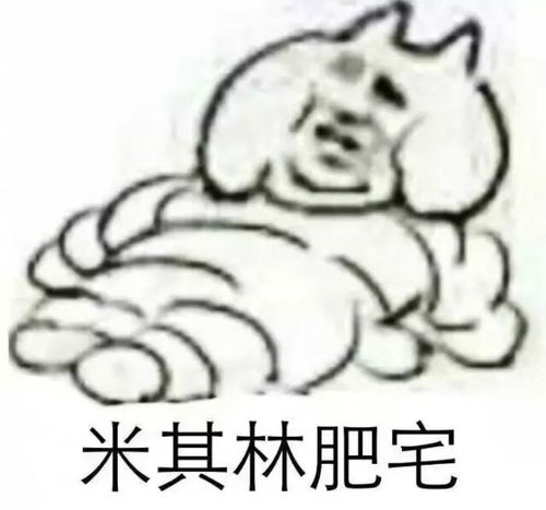 国际乱斗肥宅测评你究竟是宅还是肥肥肥
