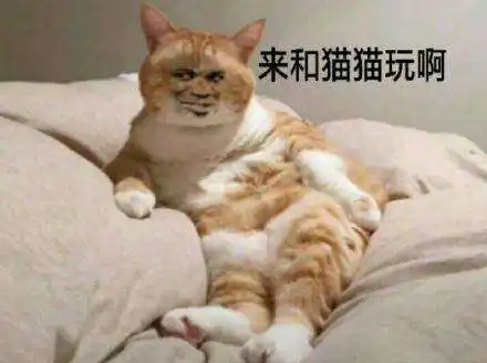 沙雕表情包开黑吗我王者,吃鸡都可以
