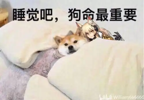 睡觉吧,狗命最重要7
