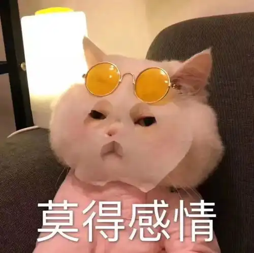 千万不要试图和你妈吵架,看完笑哭了哈哈哈哈哈
