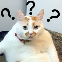 你的表情包去世了......
