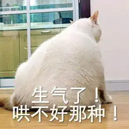 张含韵祝福赵丽颖30岁生日快乐被怒骂狠批诅咒论原因竟是因为一
