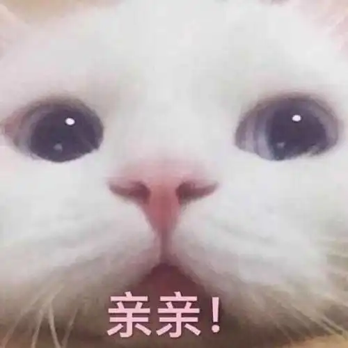 笑话十条老公,为什么你每年的纪念日都会记得那么清楚
