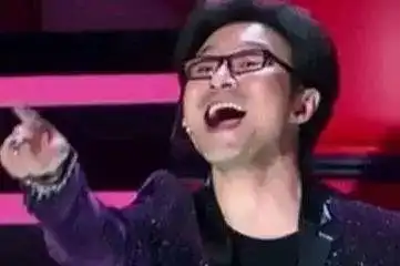 恭喜汪峰老师,成为b站鬼畜全明星的一员
