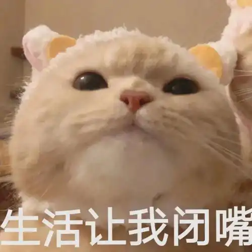 表情包吃尽生活的苦
