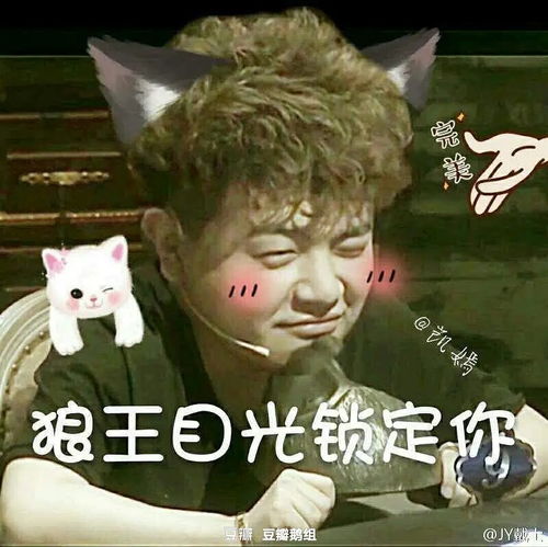 杨洋不适合叶修,叶修是肥宅虚胖小肚腩ws,提醒小...
