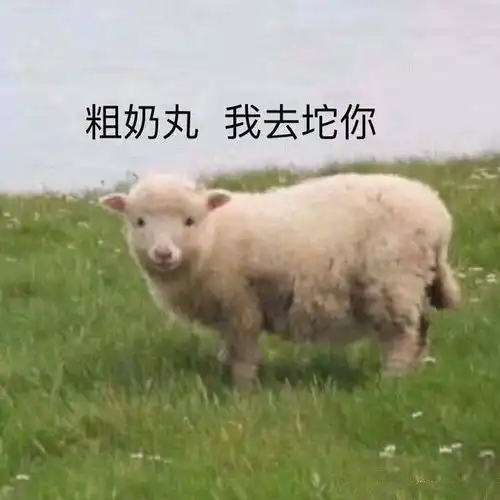 已找到找了很多年的穿越游戏的文,关键字甩小白人
