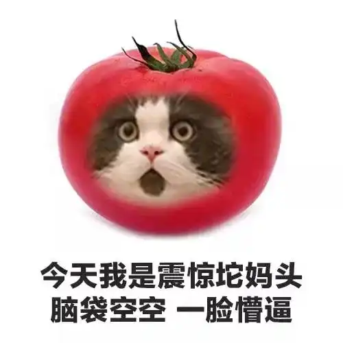 有种爆笑式严格,叫一言不合把爱豆踢出粉丝群
