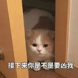 最爱猫猫表情包
