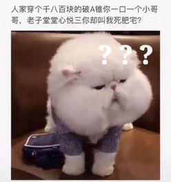不得不承认的梗,神选萌新穿aj的小哥哥,充8w的死肥宅
