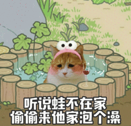 你一发表情包我就知道我们对话要结束了
