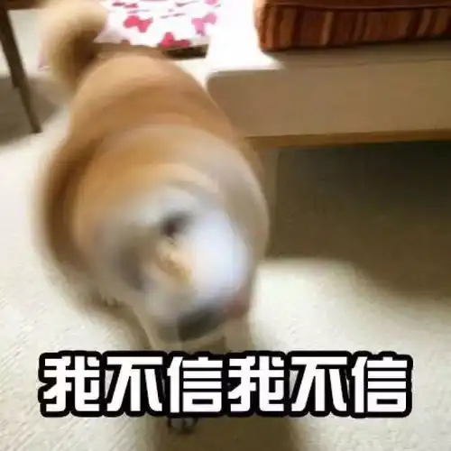 秘鲁美食登陆成都,这场跨越17000多公里的美食盛宴了解一下
