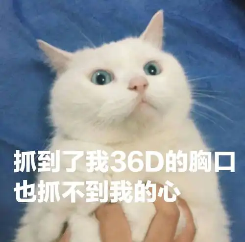 球各位鹅推荐一副降噪耳机
