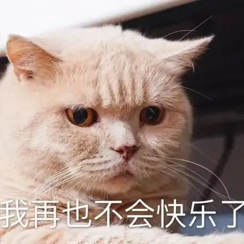 浪鲸脉霸s12的黑科技,让你感觉坐在跑车里
