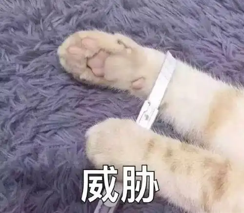 反套路青春喜剧电影二十岁
