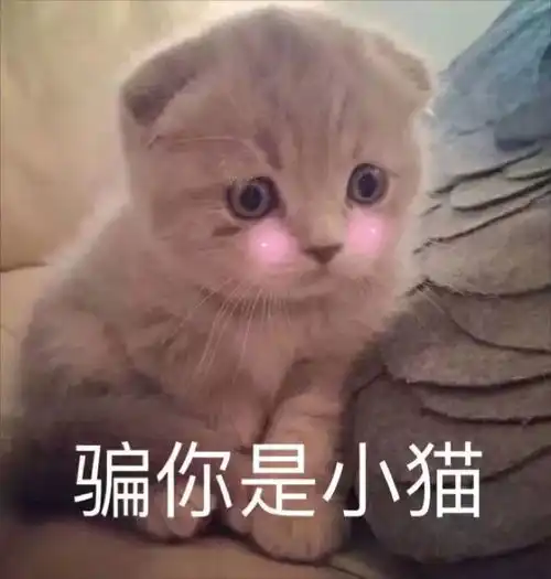 大学生,看这里
