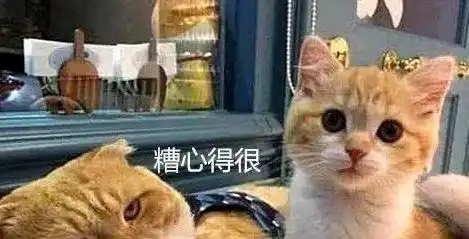 橘猫第一次做妈妈,孩子却被主人一个个送走,一看猫咪反应炸锅了
