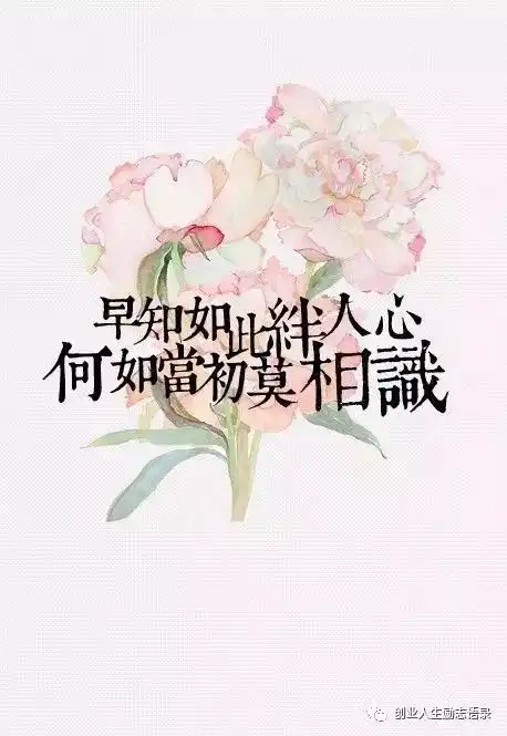 微信简短早安唯美语录句子
