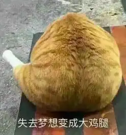 柏可心猫用小鱼干25g猫零食
