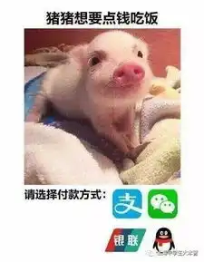 上海学生向父母要生活费时必备表情包
