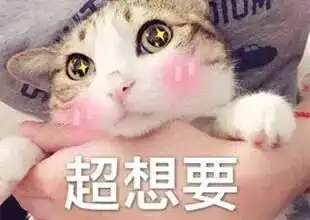 双11凌晨剁手五六万元遭女友分手小伙走进了医院
