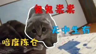 我的猫无聊时,会跑过来对我喵喵叫,可就那么一会你干嘛去啊
