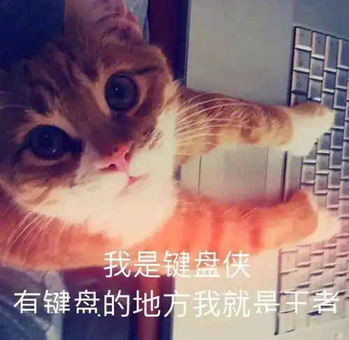 表情包这个字怎么读
