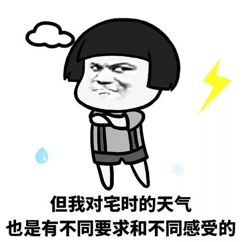 诚信肥宅,在线互撩

