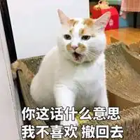 恶龙咆哮喵喵喵表情包微信头像图片大全
