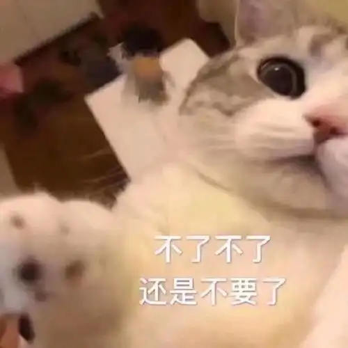 可爱喵喵表情包谁会拒绝一只小猫咪呢
