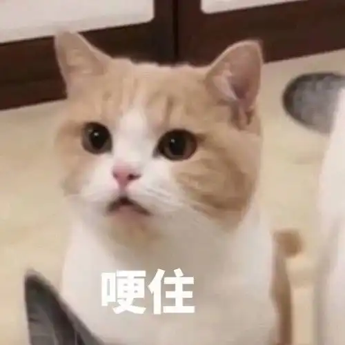 表情包好了你可以闭嘴了
