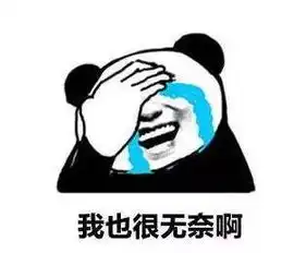 我买视频会员是为了看会员专享的广告笑哭
