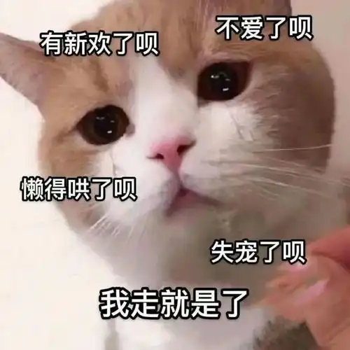 表情包让ta止不住心动的恋爱日常表情包
